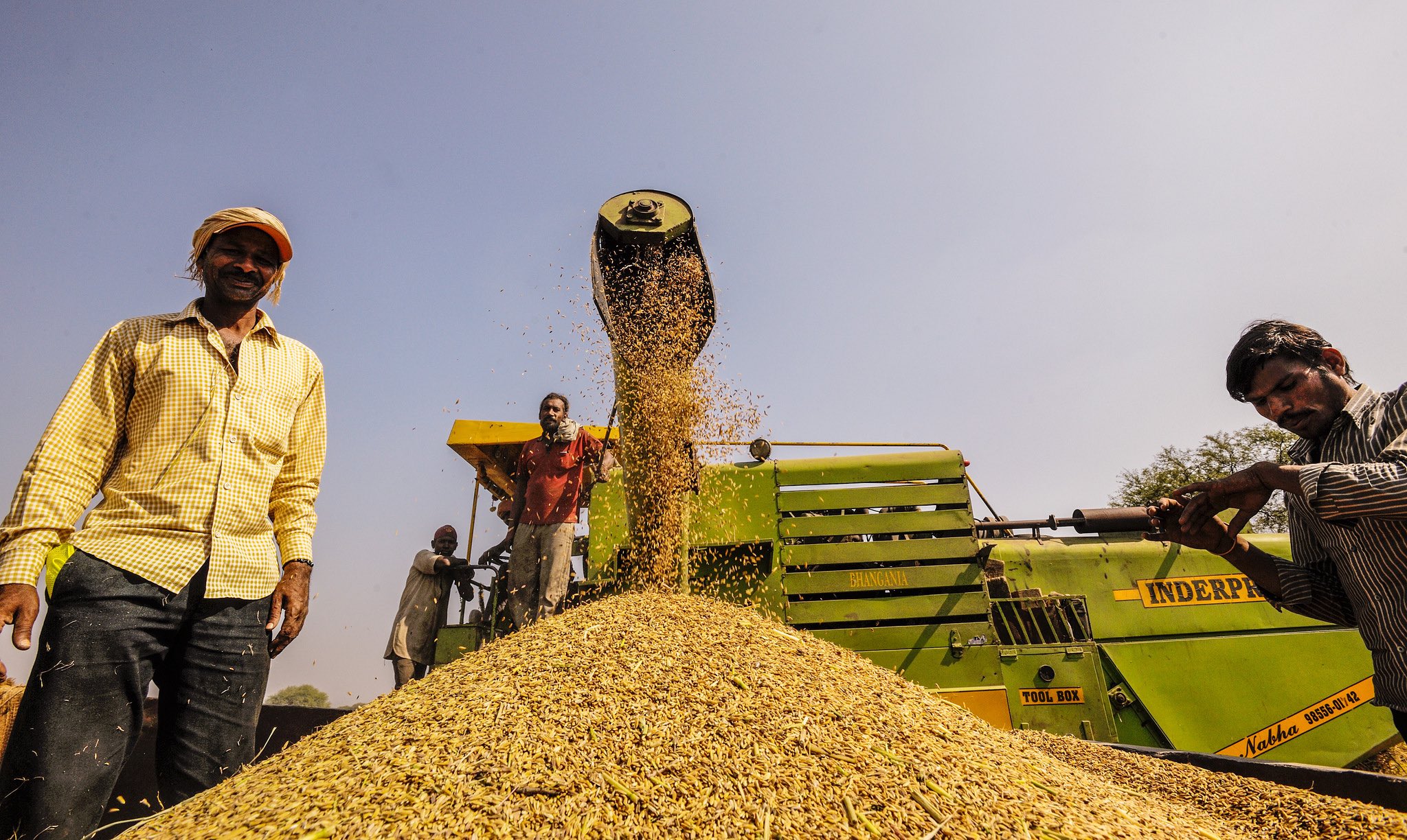 Farm landscape with green fields and blue sky