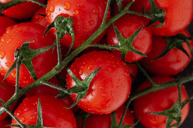 Cherry Tomatoes